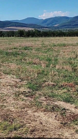 Slave Tih Ie Walks in Skirt and Clitoral Chains