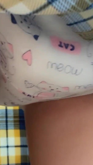 Sex Under Skirt in Bus